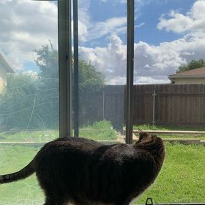 Meet your Posher, Athena